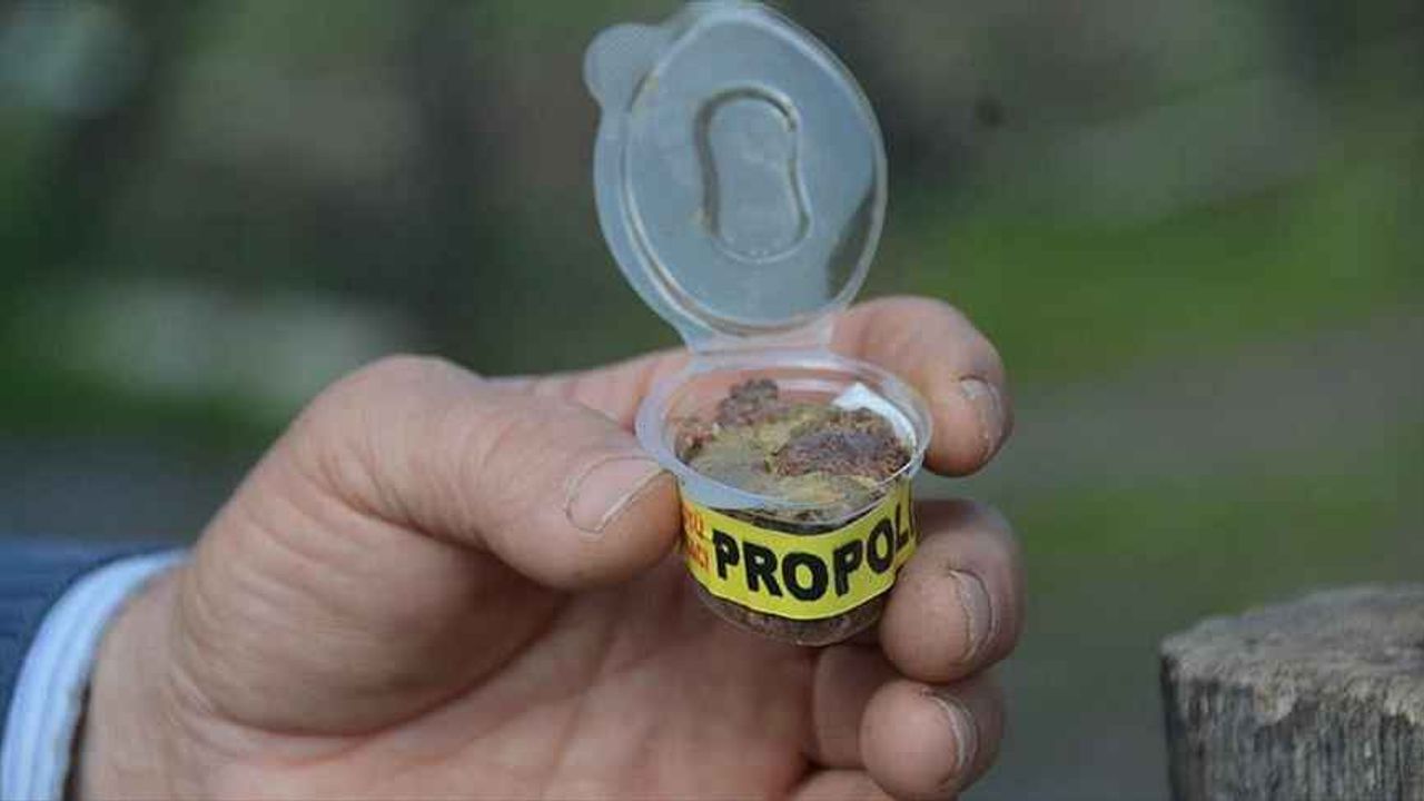 ‘Piyasalardaki propolisin yüzde 90’ı sahte’