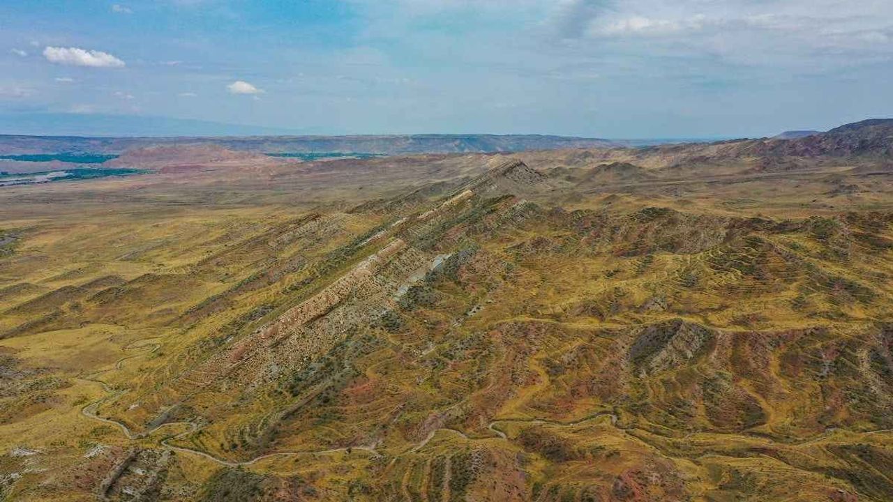 Ağrı Dağı geçmiş dönemlerde deniz kenarıydı | Palmiye yaprakları iddiaları güçlendirdi!