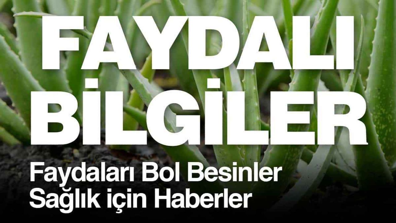 Gut Ağrısı Hakkında Bilinmesi Gereken Her Şey