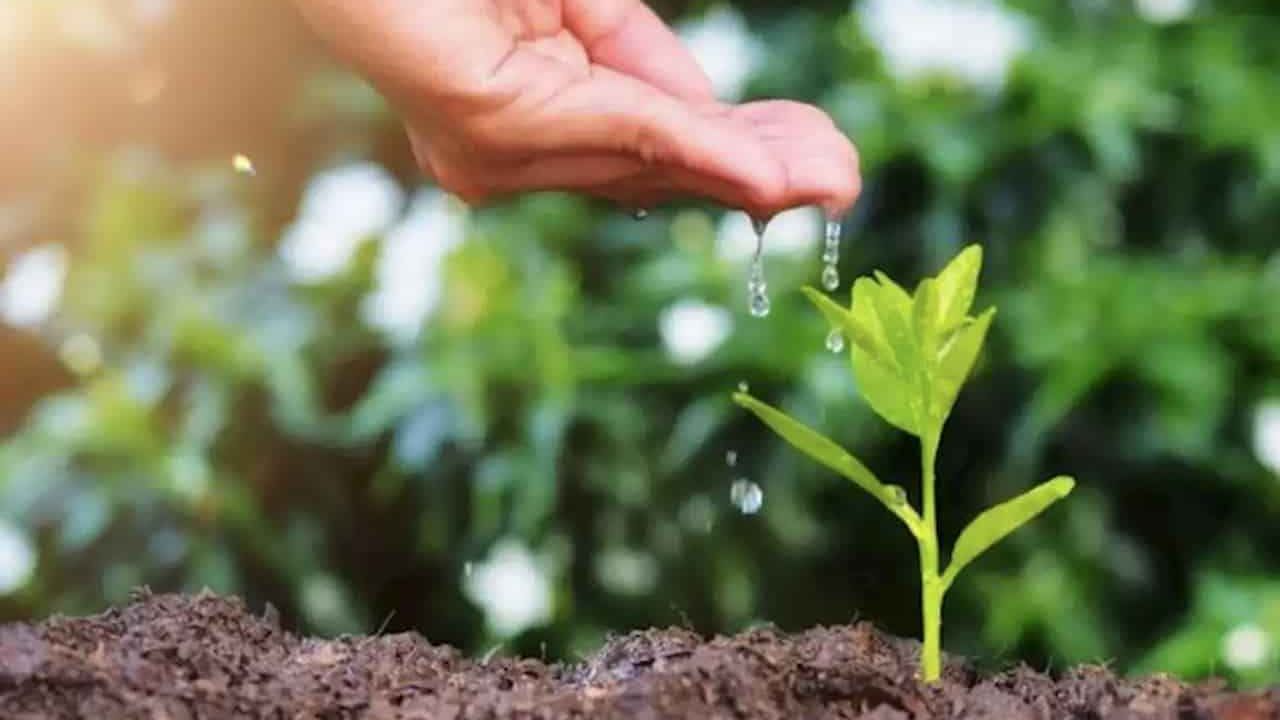 Geleceğe Nefes Ol projesi başvuru ekranı! Geleceğe Nefes Ol ücretli mi, nasıl kayıt olunur?