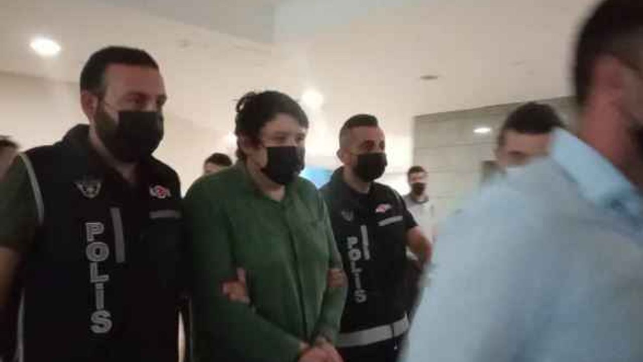 Çiftlik Bank kurucusu 'Tosuncuk' lakaplı Mehmet Aydın tutuklandı