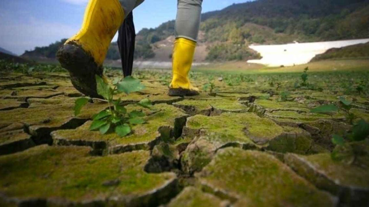 Su döngüsü bozuluyor mu? Gelecekte insanlığı ne bekliyor?