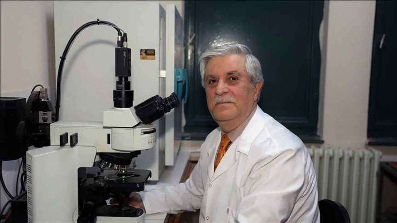 Demirhan Sendromu nedir? İskelet sisteminde nadir görülen genetik hastalığı, Türk hekim keşfetti