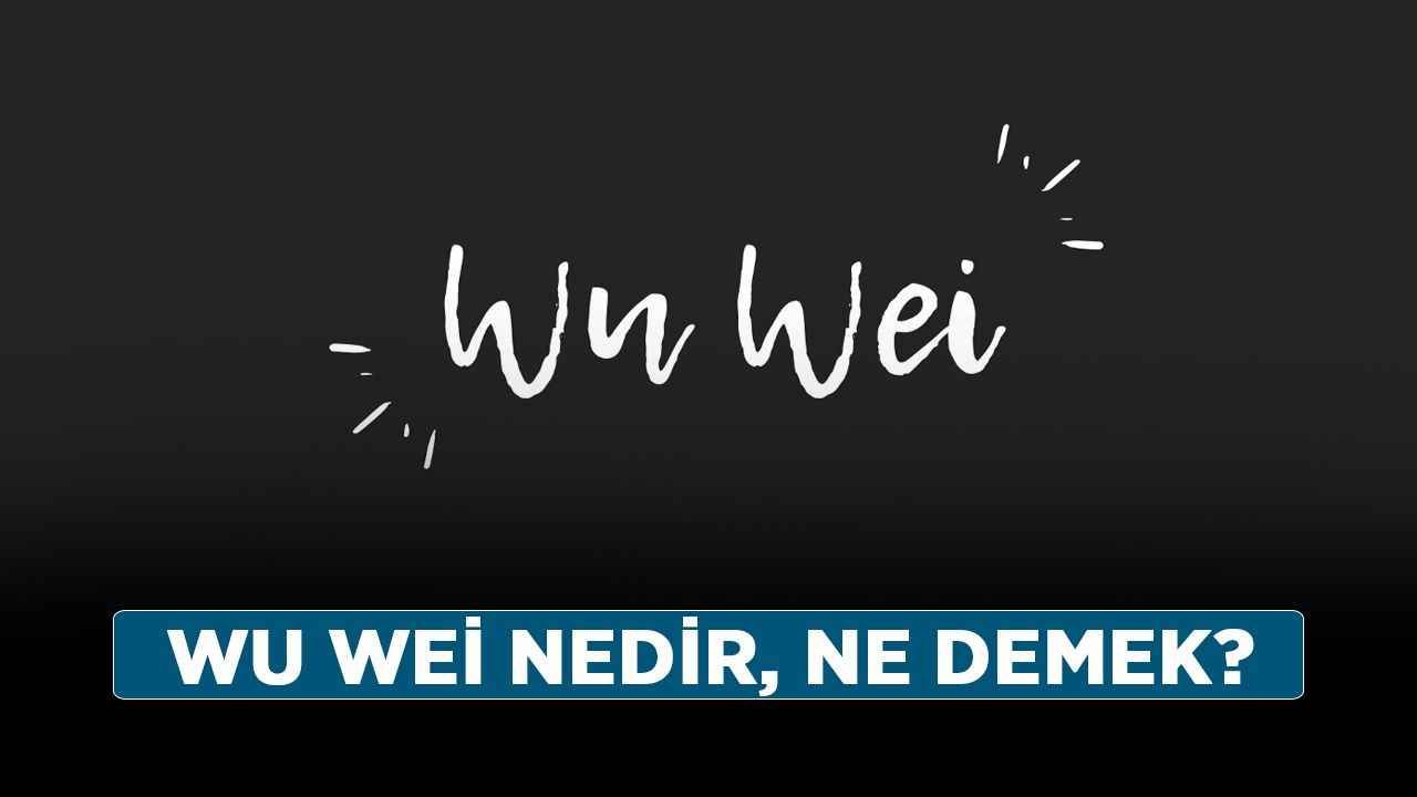 Wu Wei nedir, ne demek? Wu Wei ne anlama geliyor?
