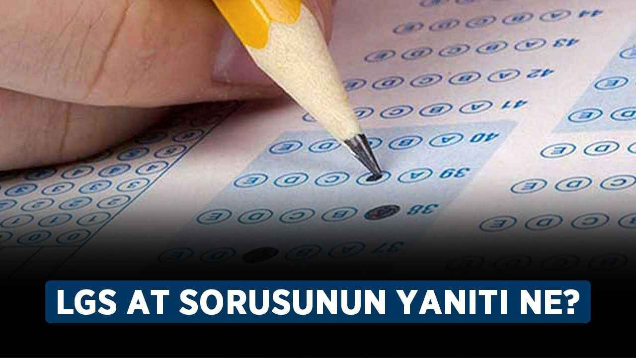 LGS sınavındaki at sorusu nedir? LGS at sorusunun yanıtı ne?