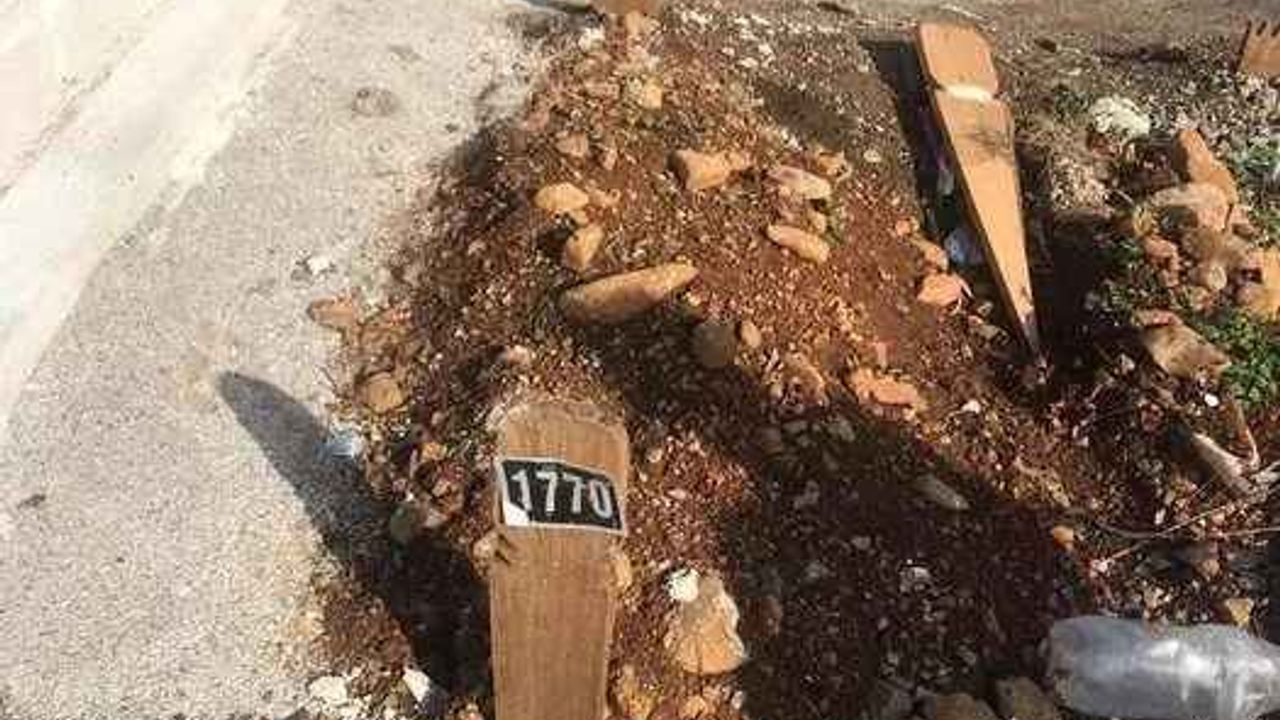 Kimsesizler mezarlığında korkunç sır: 200 milyon lira için öldürüldü