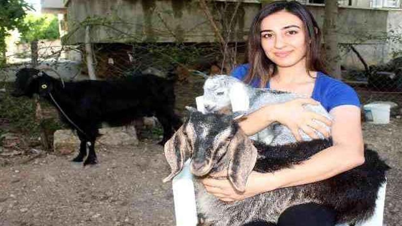 Adıyaman'da şaşırtan olay! Sabah uyandıklarında şok oldular