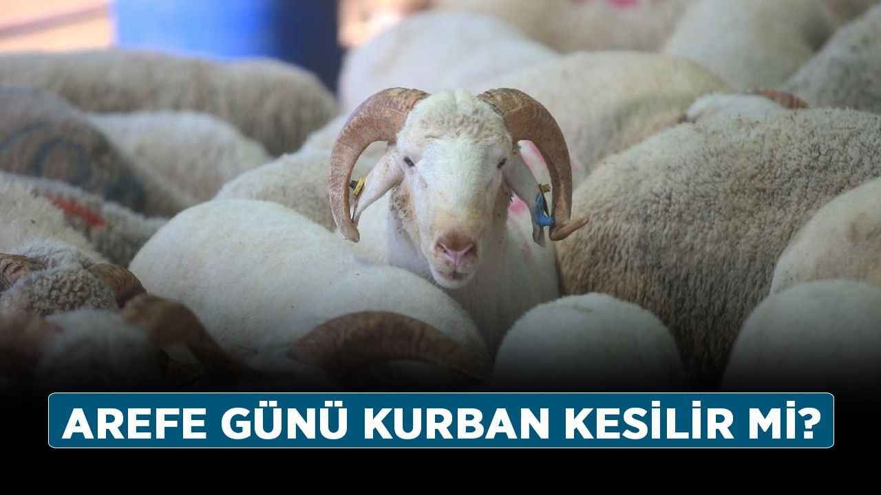 Arefe günü kurban kesilir mi? Kurbanlıklar ne zaman, hangi gün kesilir?