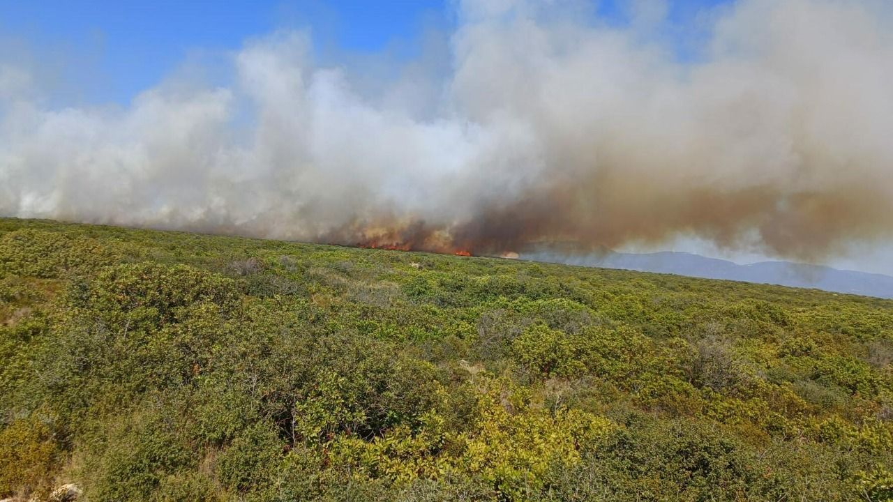 Didim'de maki yangını