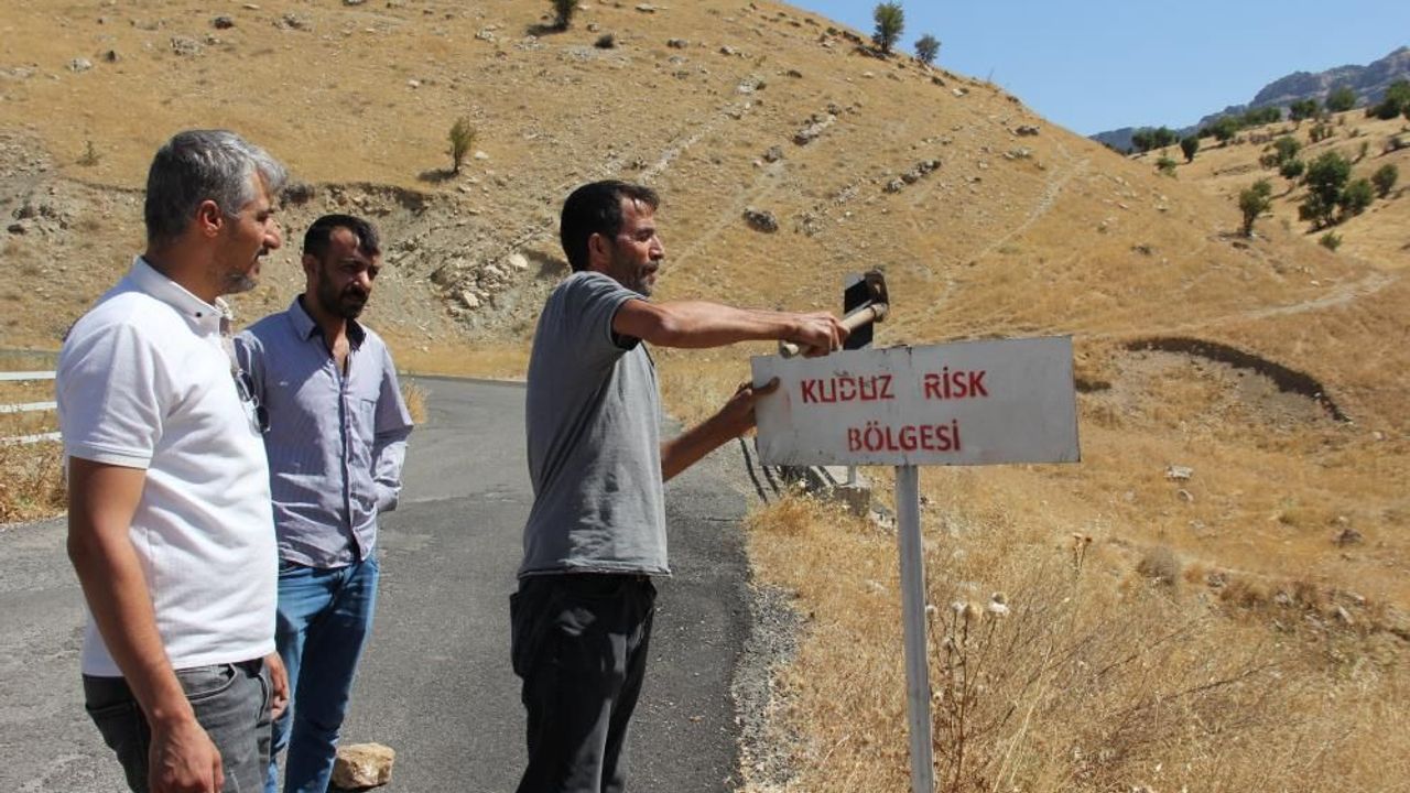 Adıyaman'da kuduz paniği! Karantina başladı