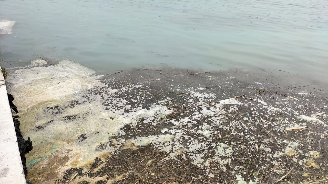 Köyceğiz Gölü’ndeki müsilaj tedirgin etti