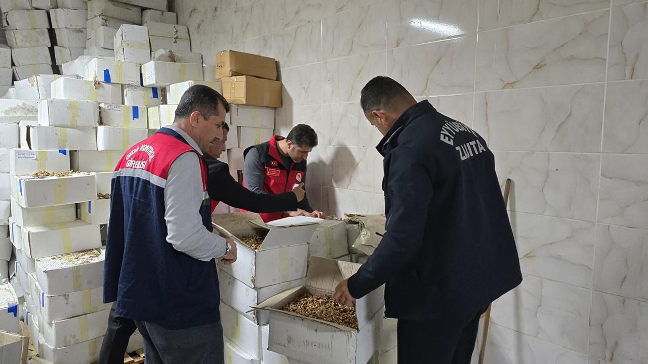 Baklava üretiminde kullanılacak 11 ton küflenmiş ceviz ele geçirildi