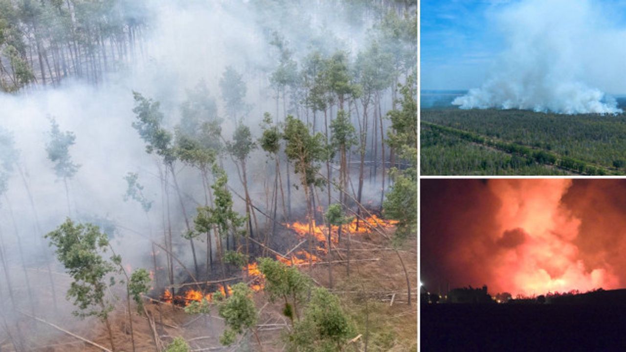 Almanya'da orman yangınları kontrol altına alınamıyor
