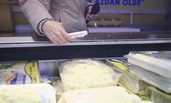 Gıdada usulsüzlüğe geçit yok
