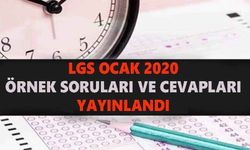 LGS Ocak 2020 örnek soruları ve cevapları yayınlandı! İşte MEB ile sayısal ve sözel LGS örnek sorular burada