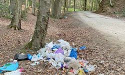 Belgrad Ormanı çöpten geçilmiyor! İBB kayıtsız