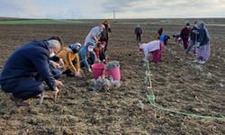 Ticaret Bakanlığı destek verdi onlar ekti: Kadın girişimciler bölge ekonomisini canlandıracak