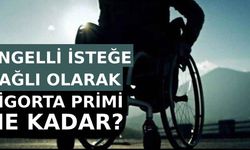 Engelli İsteğe Bağlı Sigorta Primi Ne Kadar?