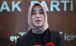 Özlem Zengin'e hakaret eden ahlaksız Mert Yaşar'a soruşturma