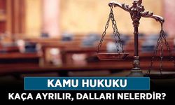 Kamu hukuku ve özel hukuk nedir? Kamu hukuku kaça ayrılır, dalları nelerdir?