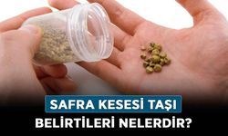 Safra kesesi taşı belirtileri nelerdir? Safra kesesi taşı nasıl anlaşılır, kimlerde bulunur?