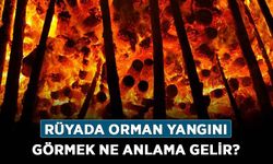 Rüyada Orman Yangını Görmek Ne Anlama Gelir, Neye İşarettir? Anlamı, Yorumu