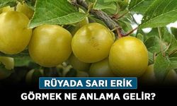 Rüyada Sarı Erik Görmek Ne Anlama Gelir, Neye İşarettir? Anlamı, Yorumu