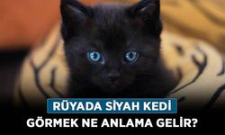 Rüyada Siyah Kedi Görmek Ne Anlama Gelir, Neye İşarettir? Anlamı, Yorumu