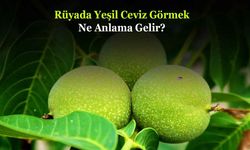 Rüyada Yeşil Ceviz Görmek Ne Anlama Gelir? Neye İşarettir? Anlamı, Yorumu