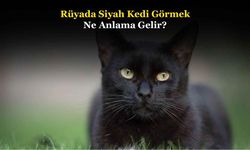 Rüyada Siyah Kedi Görmek Ne Anlama Gelir, Neye İşarettir? Anlamı, Yorumu