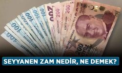 Seyyanen zam nedir, ne demek? Seyyanen zam ne anlama geliyor?