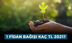 TEMA'ya nasıl üye olunur, bağış nasıl atılır? 1 fidan bağışı kaç TL 2021?