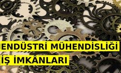 Endüstri Mühendisliği İş İmkanları Nasıl? Nerelerde Çalışabilir?