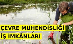 Çevre Mühendisliği İş İmkânları Nasıl? Nerelerde Çalışabilir?