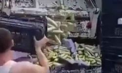 Kasalar dolusu kabak çöpe atıldı, bakanlık soruşturma başlattı