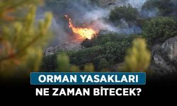 Orman yasakları ne zaman bitecek? Mangal ve piknik yapmak yasak mı?