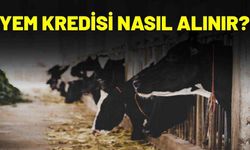 Yem Kredisi Nasıl Alınır?