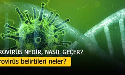 Norovirüs nedir, nasıl geçer? Norovirüs belirtileri neler? 