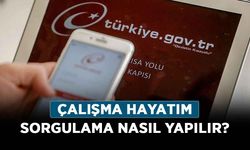 Çalışma Hayatım sorgulama nasıl yapılır? e-Devlet Çalışma Hayatım içerisinde neler var?