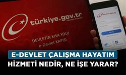 E-Devlet Çalışma Hayatım hizmeti nedir? Çalışma Hayatım ne işe yarar?