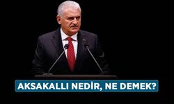 Aksakallı nedir, ne demek? Aksakal kelimesinin anlamı nedir?