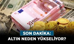 Altın neden yükseliyor son dakika? Dolar ve Euro neden yükseliyor?