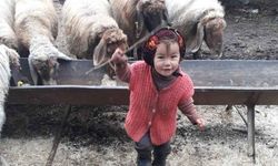 Müslüme olayında yeni gelişme! Başak Cengiz'in katili...