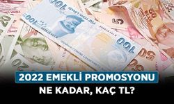 2022 emekli promosyonu ne zaman verilecek? 2022 emekli promosyonu ne kadar, kaç TL?