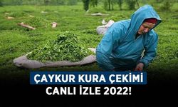 ÇAYKUR kura çekimi canlı izle 2022! ÇAYKUR kura çekimi saat kaçta başlayacak?