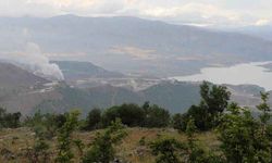 Bakanlık açıkladı: Erzincan'da altın madeninin faaliyeti durduruldu