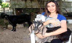 Adıyaman'da şaşırtan olay! Sabah uyandıklarında şok oldular