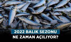 2022 balık sezonu ne zaman açılıyor? Balık avı yasağı hangi gün bitecek?