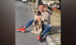 Köpeğin ısırmadığını söyledi başka bir videoda ısırıldı 