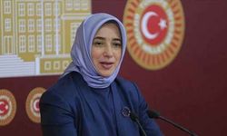 Özlem Zengin: 6284 sayılı yasa kırmızı çizgimizdir